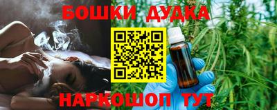 молекула духа Будённовск