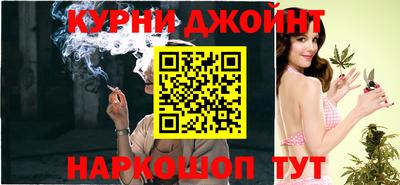 молекула духа Будённовск