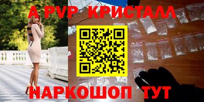 молекула духа Будённовск